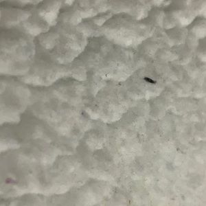 Meet your Posher, Uzma